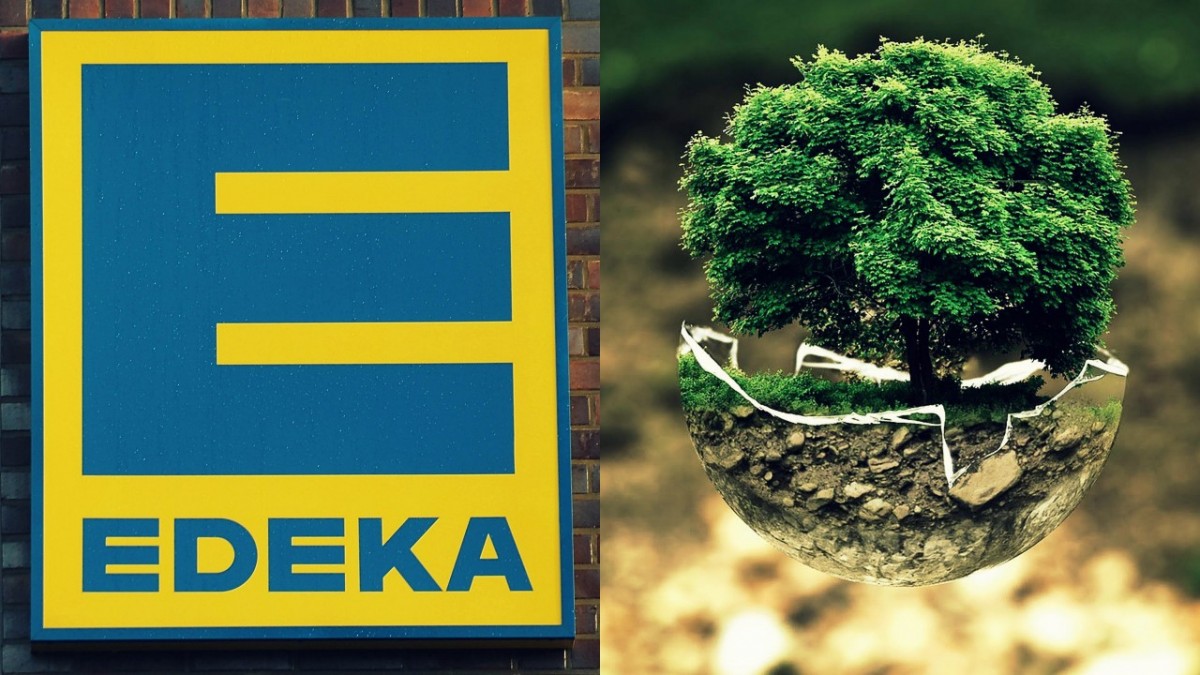 Green Marketing: Edeka & der Mega-Trend Nachhaltigkeit